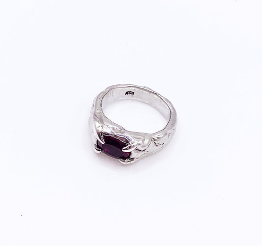 SIRIUS ring